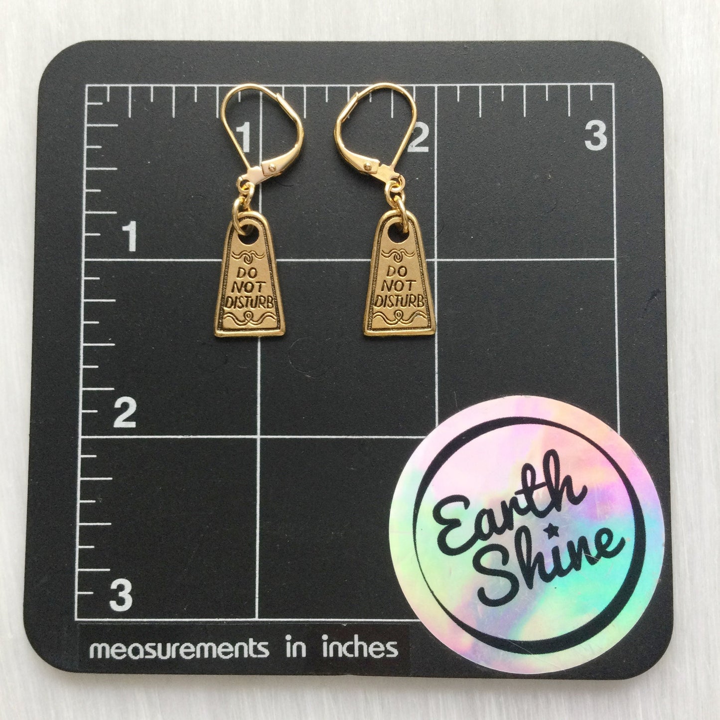 Do Not Disturb Door Sign Earrings